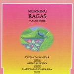 Morning Ragas - Volume 3 - Anindo Chatterjee Song Download
